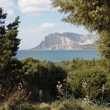 Frina Di Mari San Teodoro (Sardinia)