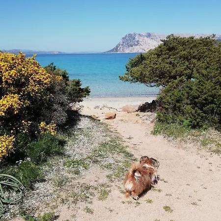 Frina Di Mari 4* San Teodoro (Sardinia)
