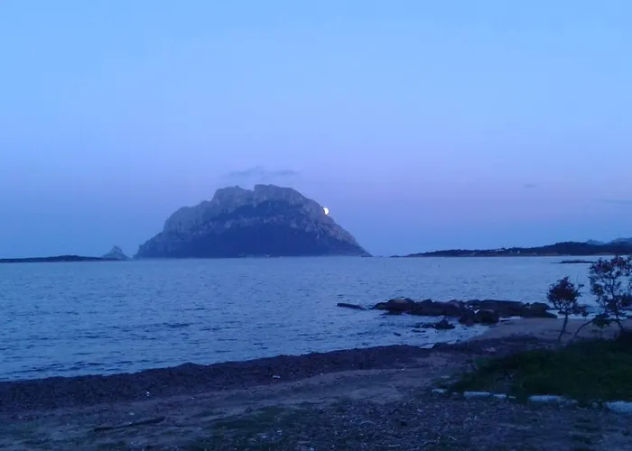 Couette-café Frina Di Mari