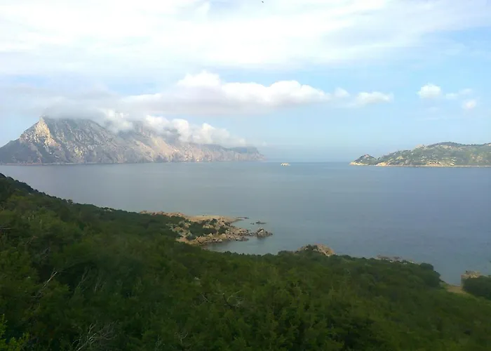 Couette-café Frina Di Mari 4*