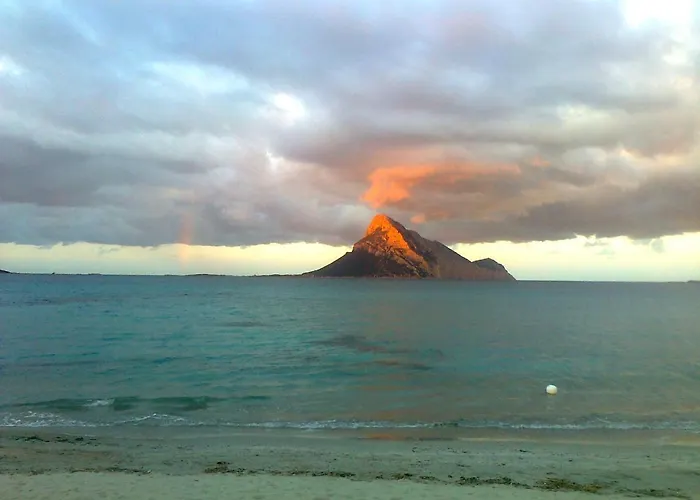 Couette-café Frina Di Mari