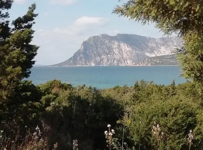Frina Di Mari San Teodoro (Sardinia)